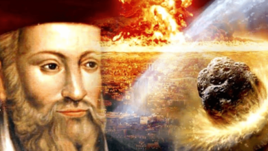 Nostradamus przewidzial koronawirusa Nowa teoria article