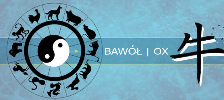 Bawół - chiński zodiak